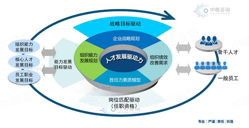 人才发展驱动力模型