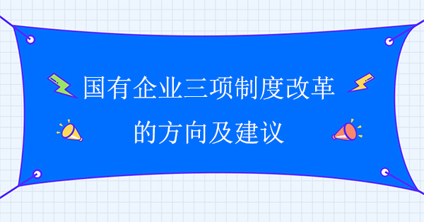 国有皇家体育(China)官方网站三项制度改革的方向及建议