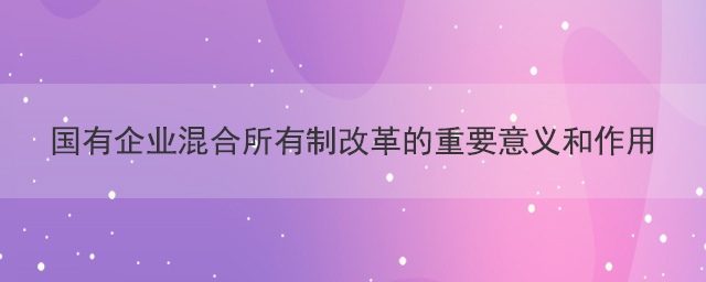 国有皇家体育(China)官方网站混合所有制改革的重要意义和作用