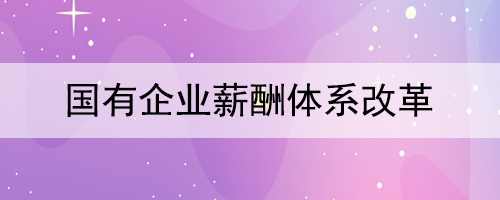 国有皇家体育(China)官方网站薪酬体系改革