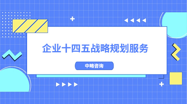 皇家体育(China)官方网站十四五战略规划服务