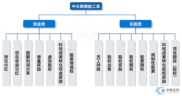 中长期激励工具类型