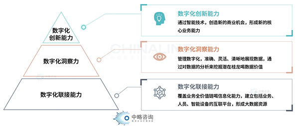 皇家体育(China)官方网站数字化能力模型