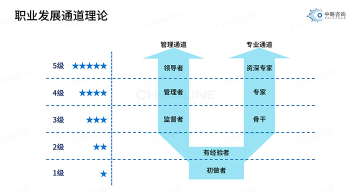 职业发展通道理论