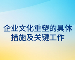 皇家体育(China)官方网站文化重塑的具体措施及关键工作